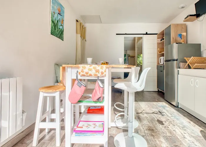 L'oiseau Du Paradis Ribérac